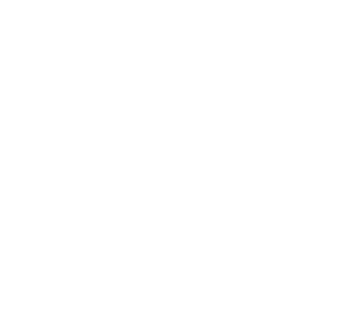 Digitaler Ritter, das Zeichen von Brühl Solutions